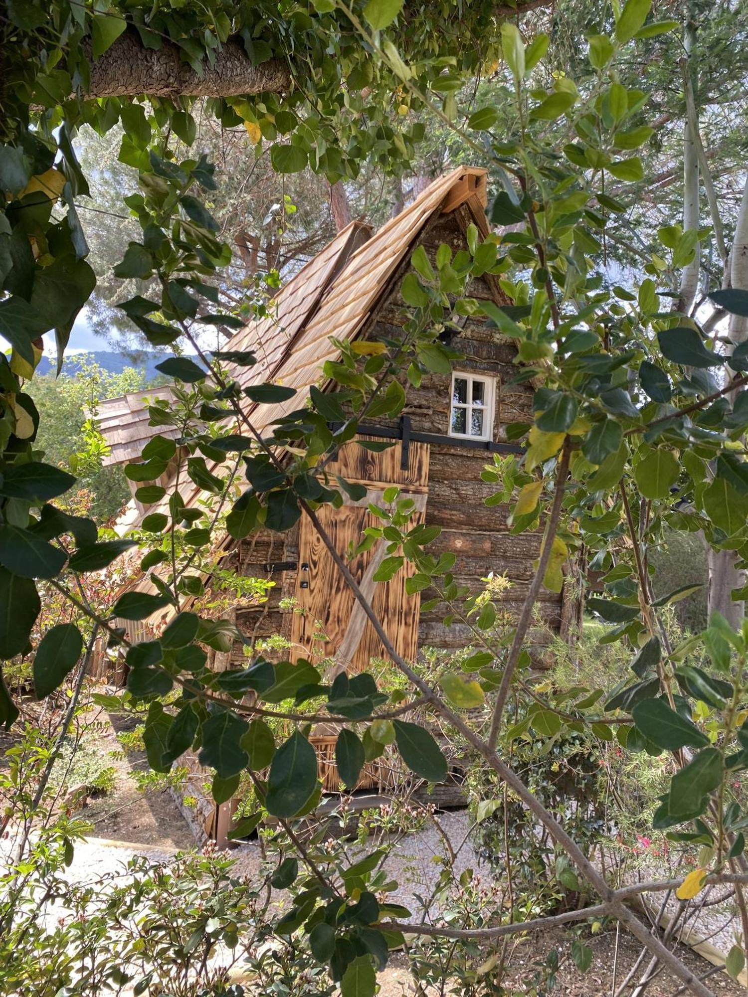Bed and Breakfast Mas Del Flor Villelongue-dels-Monts Номер фото
