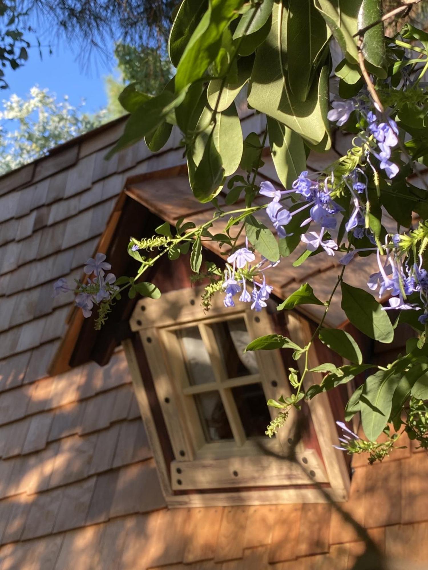 Bed and Breakfast Mas Del Flor Villelongue-dels-Monts Номер фото