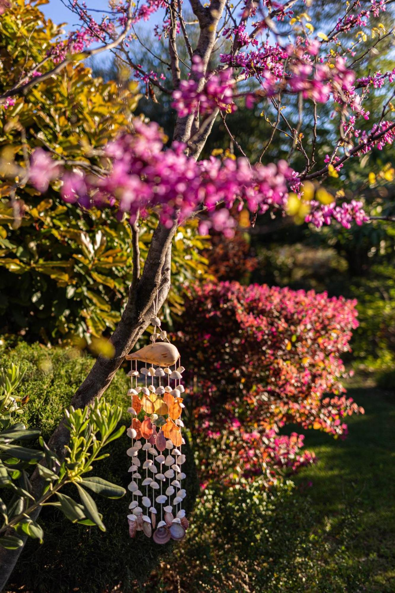 Bed and Breakfast Mas Del Flor Villelongue-dels-Monts Екстер'єр фото