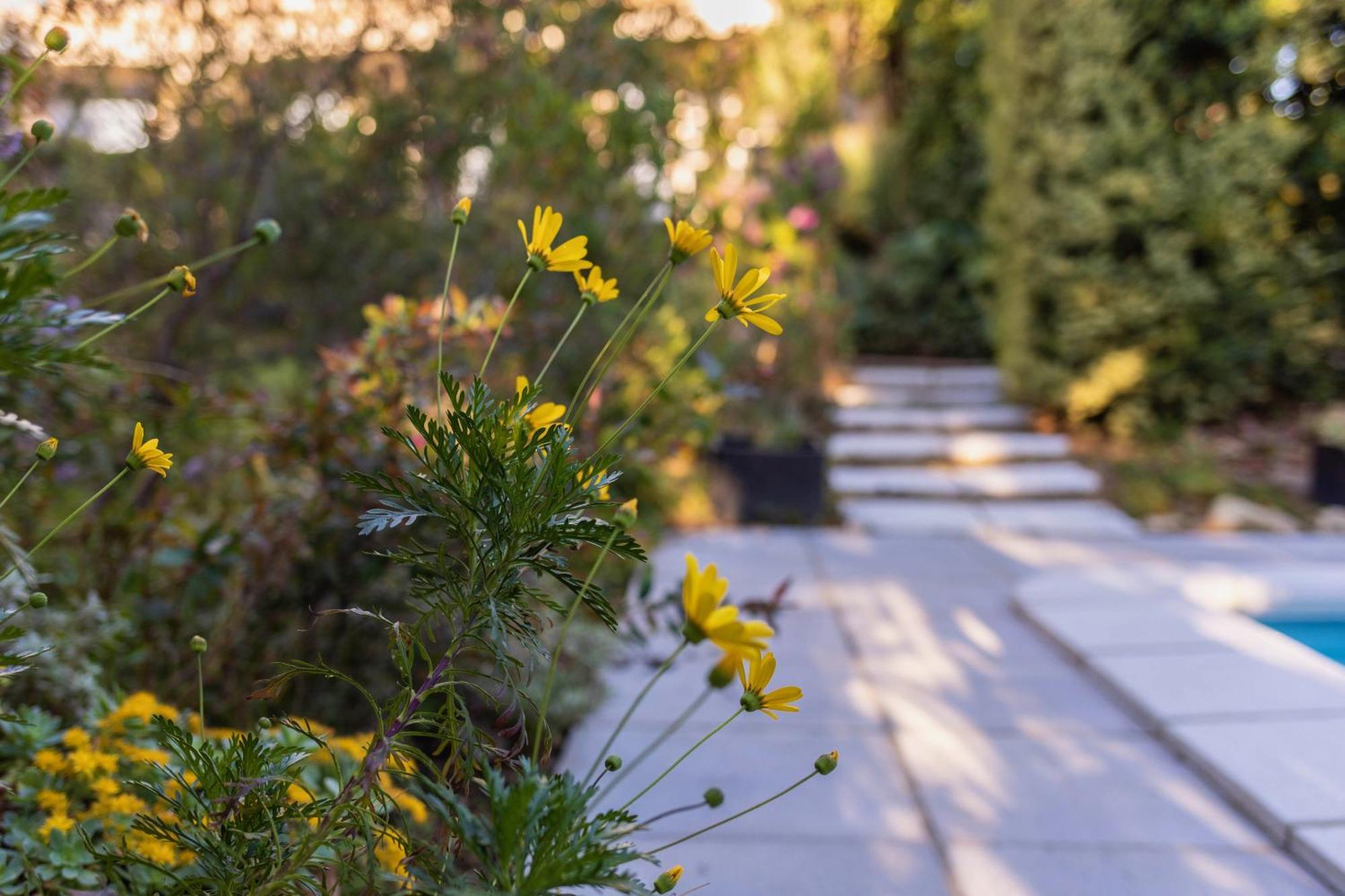 Bed and Breakfast Mas Del Flor Villelongue-dels-Monts Екстер'єр фото